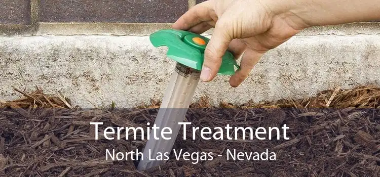 Termite Treatment North Las Vegas - Nevada