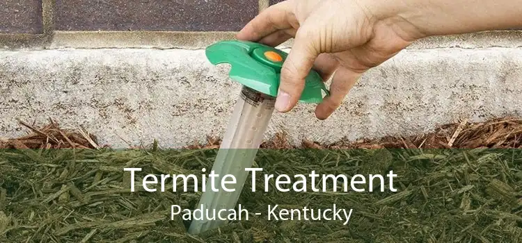 Termite Treatment Paducah - Kentucky