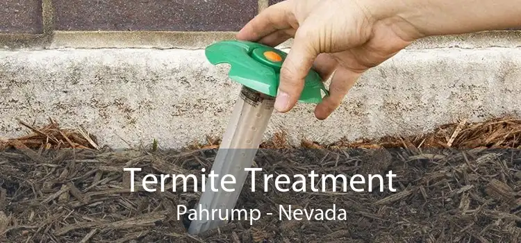 Termite Treatment Pahrump - Nevada