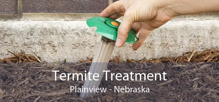 Termite Treatment Plainview - Nebraska