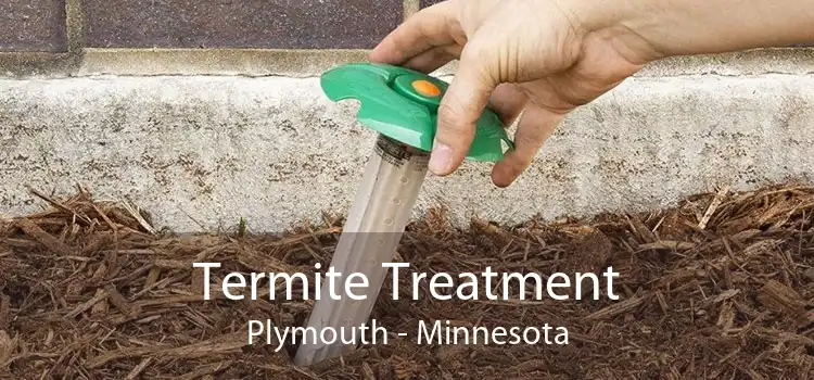 Termite Treatment Plymouth - Minnesota
