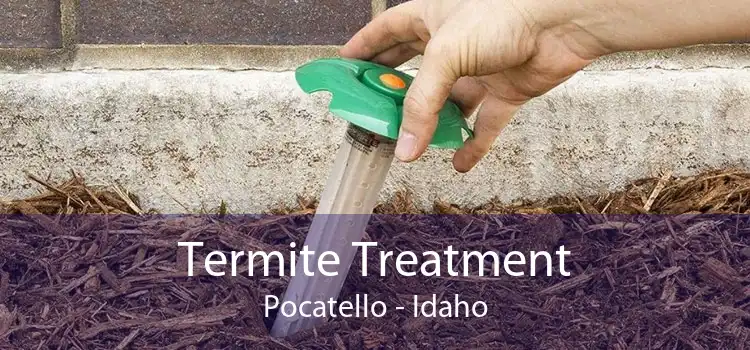 Termite Treatment Pocatello - Idaho