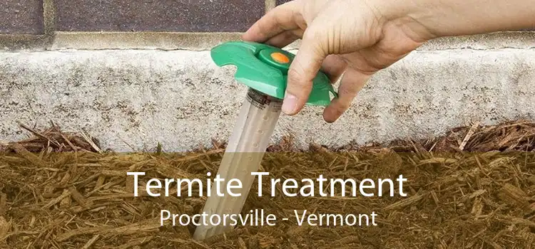 Termite Treatment Proctorsville - Vermont