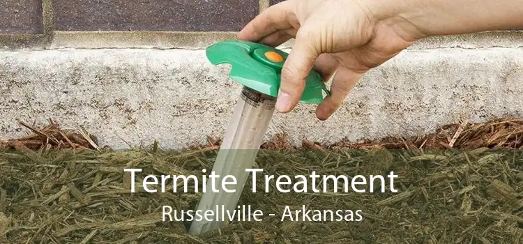 Termite Treatment Russellville - Arkansas