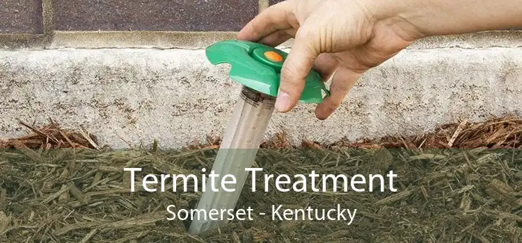 Termite Treatment Somerset - Kentucky