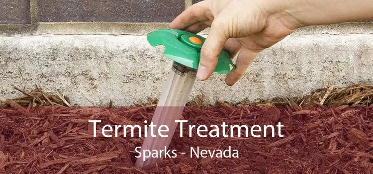 Termite Treatment Sparks - Nevada