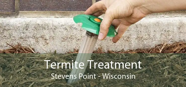 Termite Treatment Stevens Point - Wisconsin