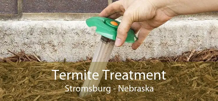 Termite Treatment Stromsburg - Nebraska