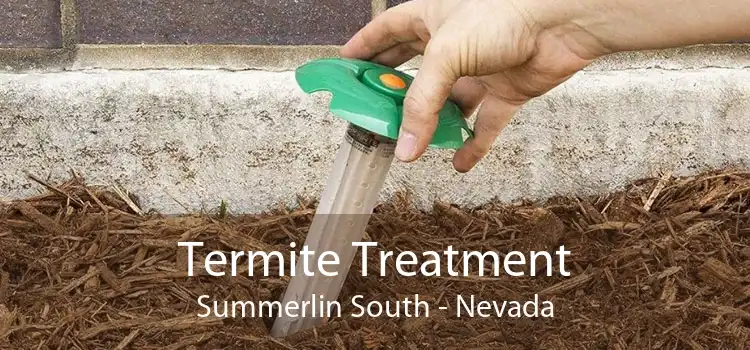 Termite Treatment Summerlin South - Nevada