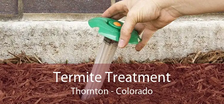 Termite Treatment Thornton - Colorado
