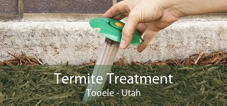 Termite Treatment Tooele - Utah