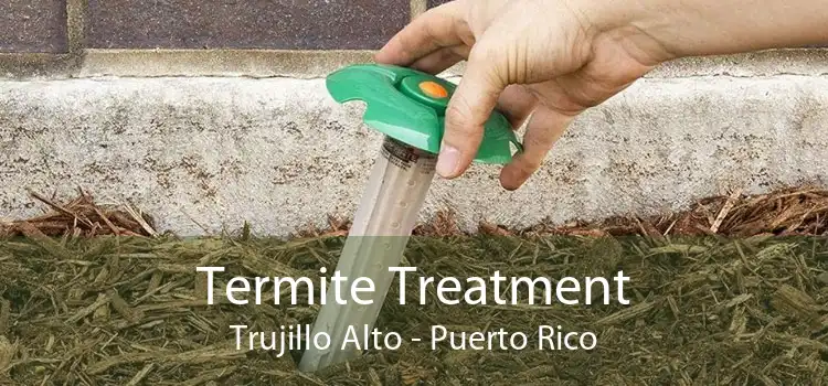 Termite Treatment Trujillo Alto - Puerto Rico