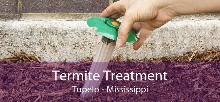 Termite Treatment Tupelo - Mississippi