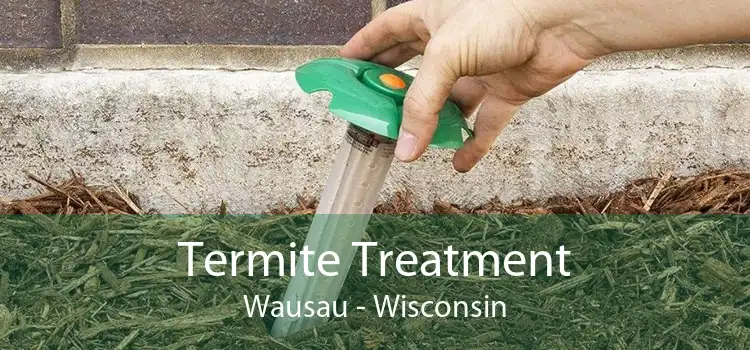 Termite Treatment Wausau - Wisconsin