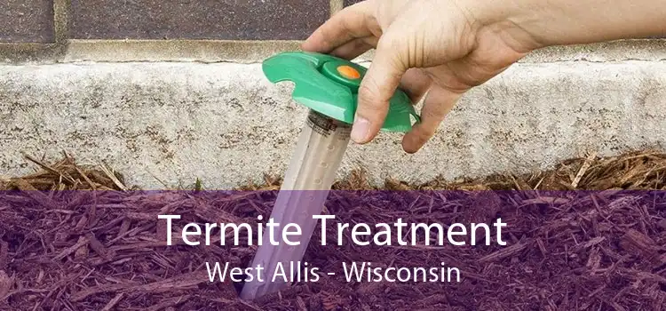 Termite Treatment West Allis - Wisconsin