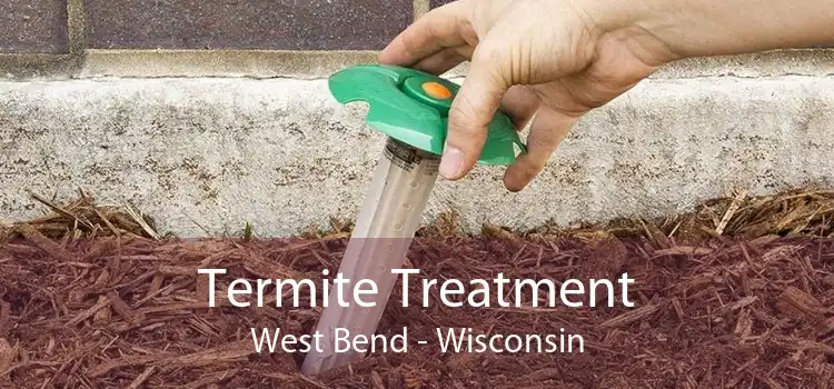 Termite Treatment West Bend - Wisconsin