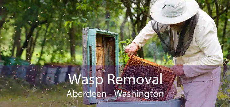 Wasp Removal Aberdeen - Washington