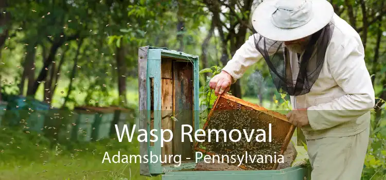 Wasp Removal Adamsburg - Pennsylvania