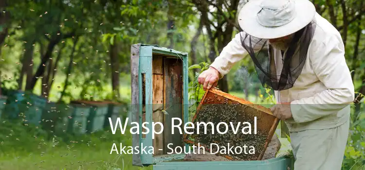 Wasp Removal Akaska - South Dakota