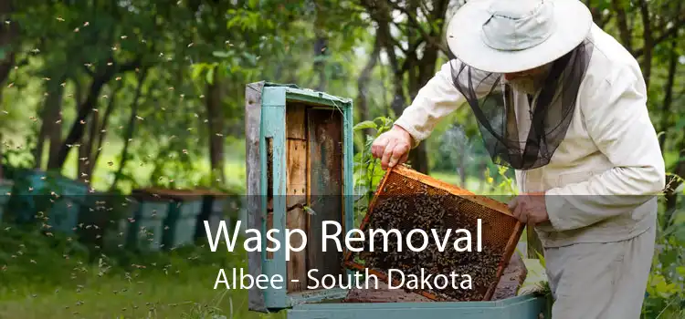 Wasp Removal Albee - South Dakota