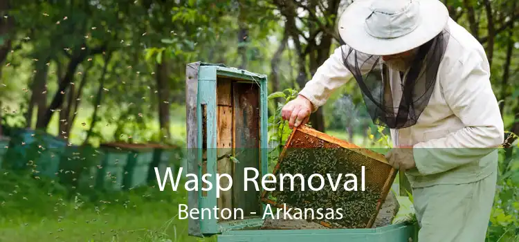 Wasp Removal Benton - Arkansas