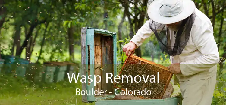 Wasp Removal Boulder - Colorado