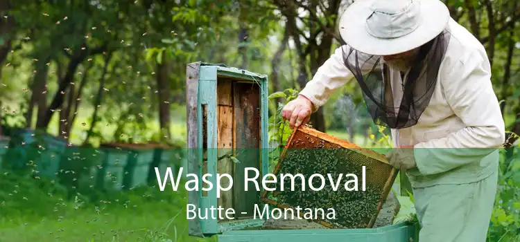 Wasp Removal Butte - Montana
