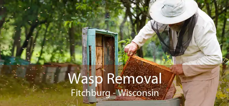 Wasp Removal Fitchburg - Wisconsin