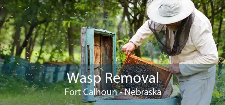 Wasp Removal Fort Calhoun - Nebraska