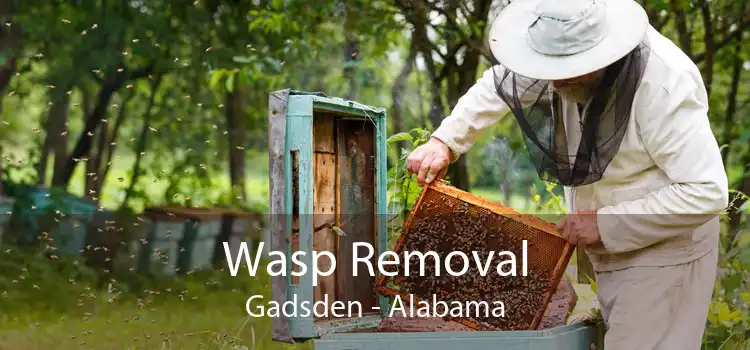 Wasp Removal Gadsden - Alabama