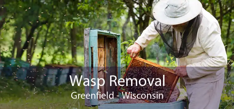 Wasp Removal Greenfield - Wisconsin