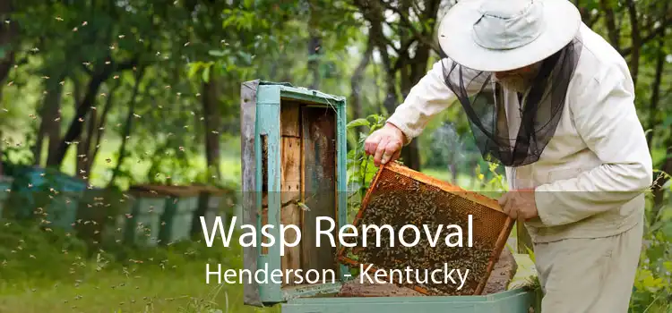 Wasp Removal Henderson - Kentucky