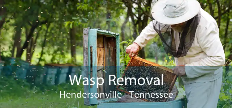 Wasp Removal Hendersonville - Tennessee
