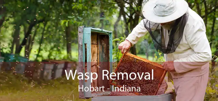 Wasp Removal Hobart - Indiana