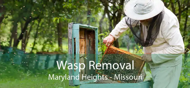 Wasp Removal Maryland Heights - Missouri