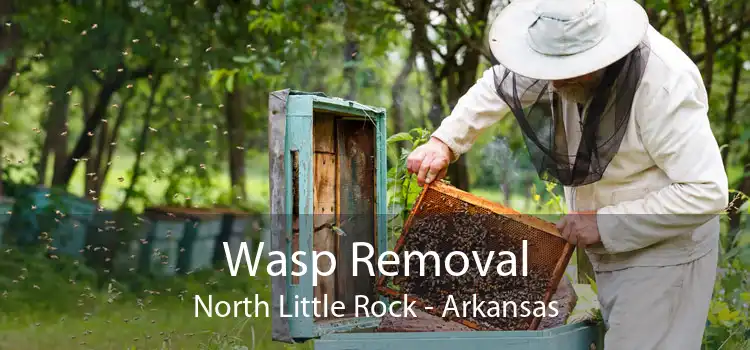 Wasp Removal North Little Rock - Arkansas