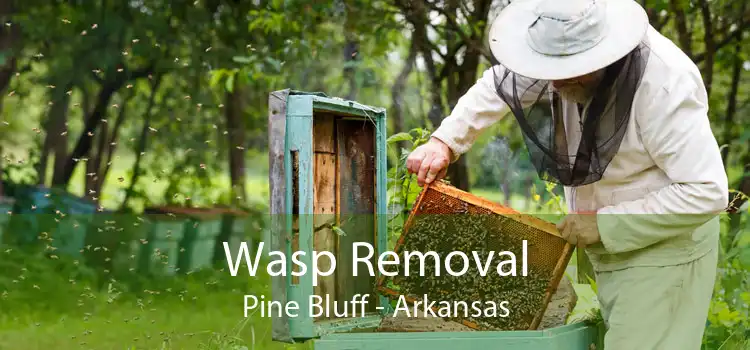 Wasp Removal Pine Bluff - Arkansas