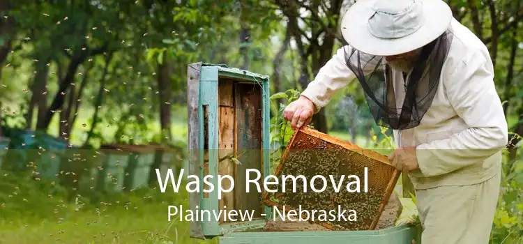 Wasp Removal Plainview - Nebraska
