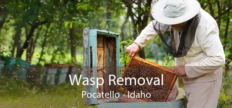 Wasp Removal Pocatello - Idaho