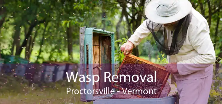 Wasp Removal Proctorsville - Vermont
