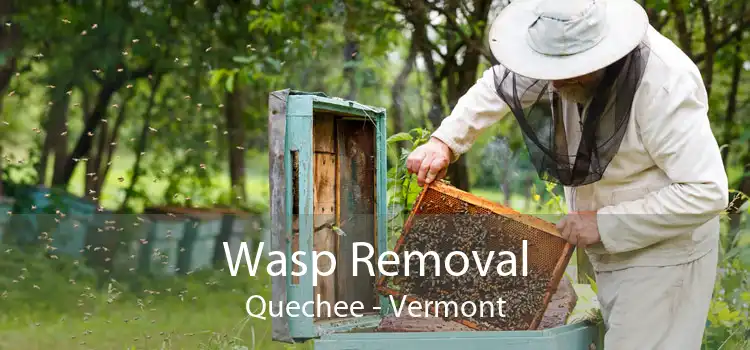 Wasp Removal Quechee - Vermont