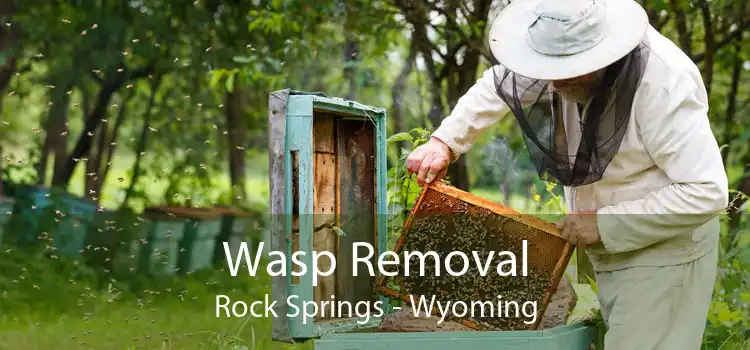 Wasp Removal Rock Springs - Wyoming