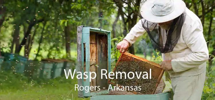 Wasp Removal Rogers - Arkansas