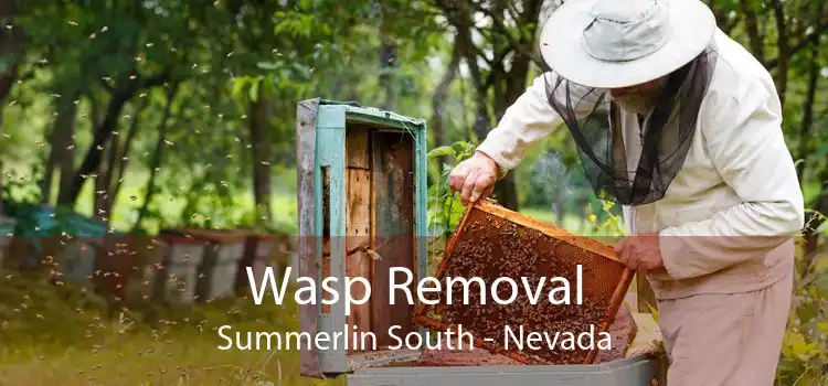 Wasp Removal Summerlin South - Nevada