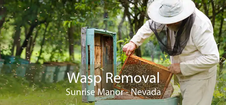 Wasp Removal Sunrise Manor - Nevada