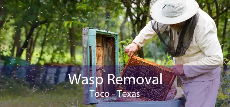 Wasp Removal Toco - Texas