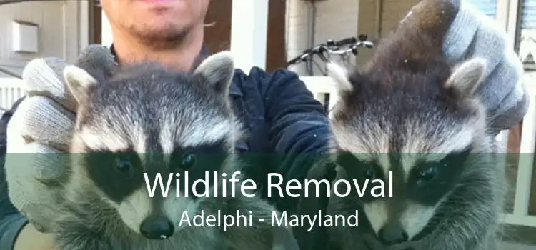 Wildlife Removal Adelphi - Maryland