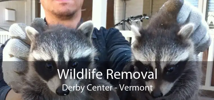 Wildlife Removal Derby Center - Vermont