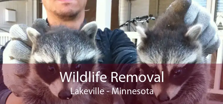 Wildlife Removal Lakeville - Minnesota