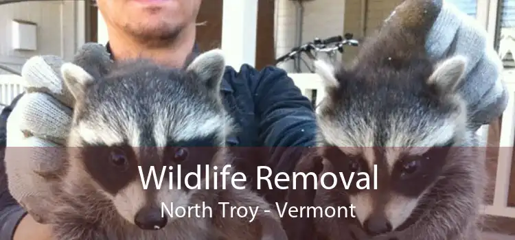 Wildlife Removal North Troy - Vermont